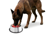 Raw Feeding for Active Dogs - Meal Pack #02