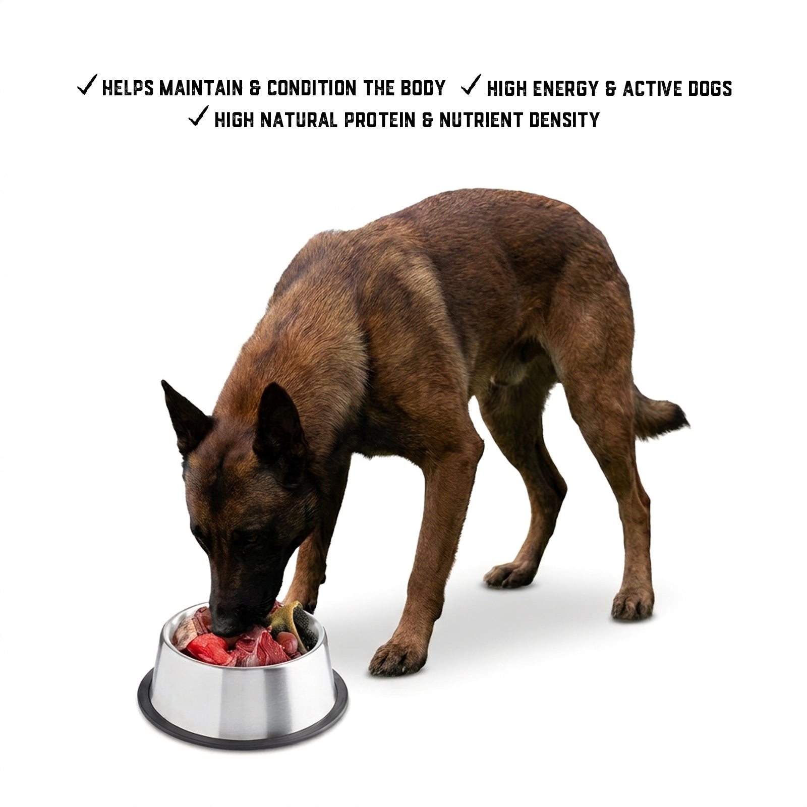 Raw Feeding for Active Dogs - Meal Pack #03