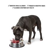 Raw Feeding for Allergies (Dogs) - Meal Pack #01