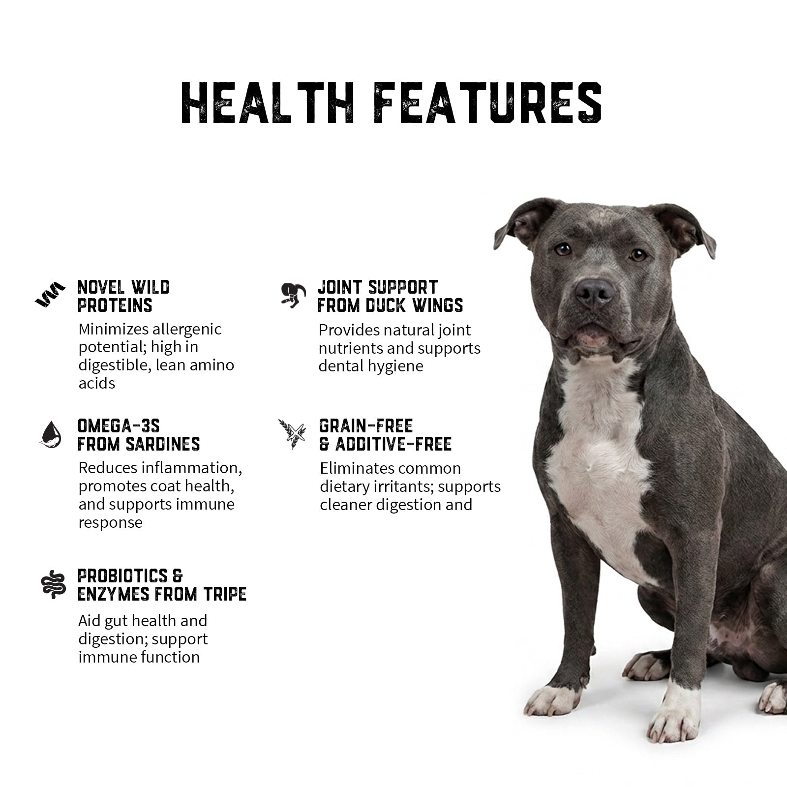 Raw Feeding for Allergies (Dogs) - Meal Pack #05