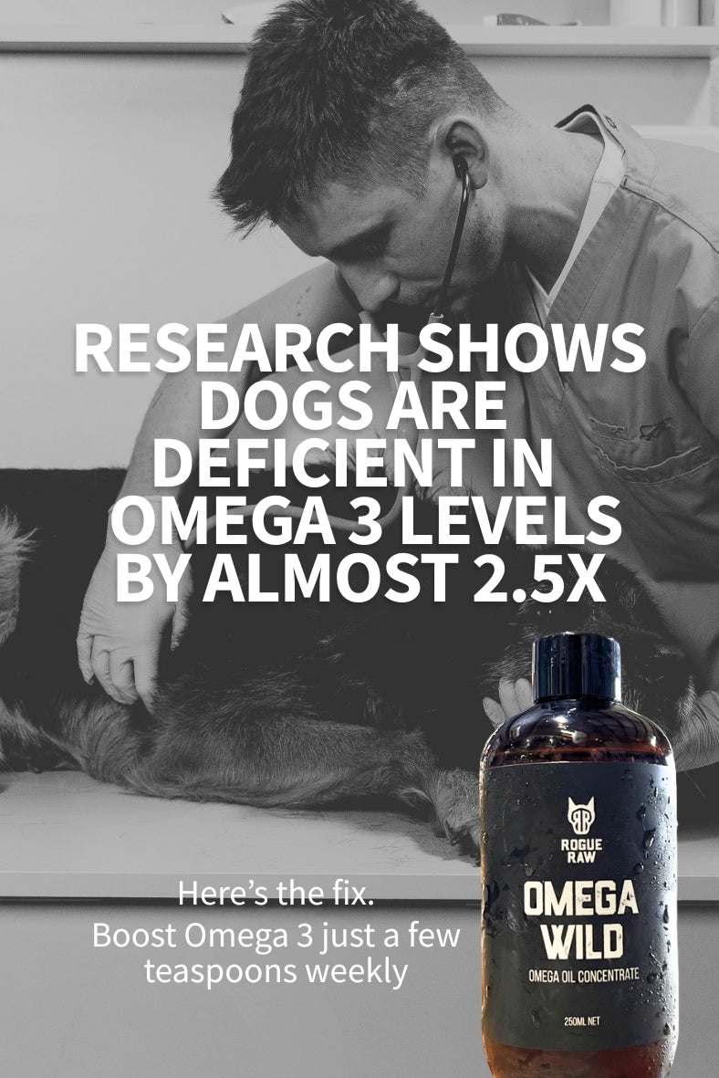 banner-omega4.jpg
