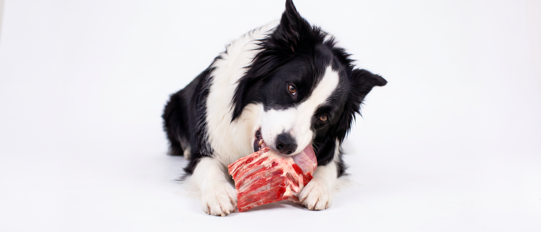 Raw Meaty Bones for Dogs and Cats from Rogue Raw Australia
