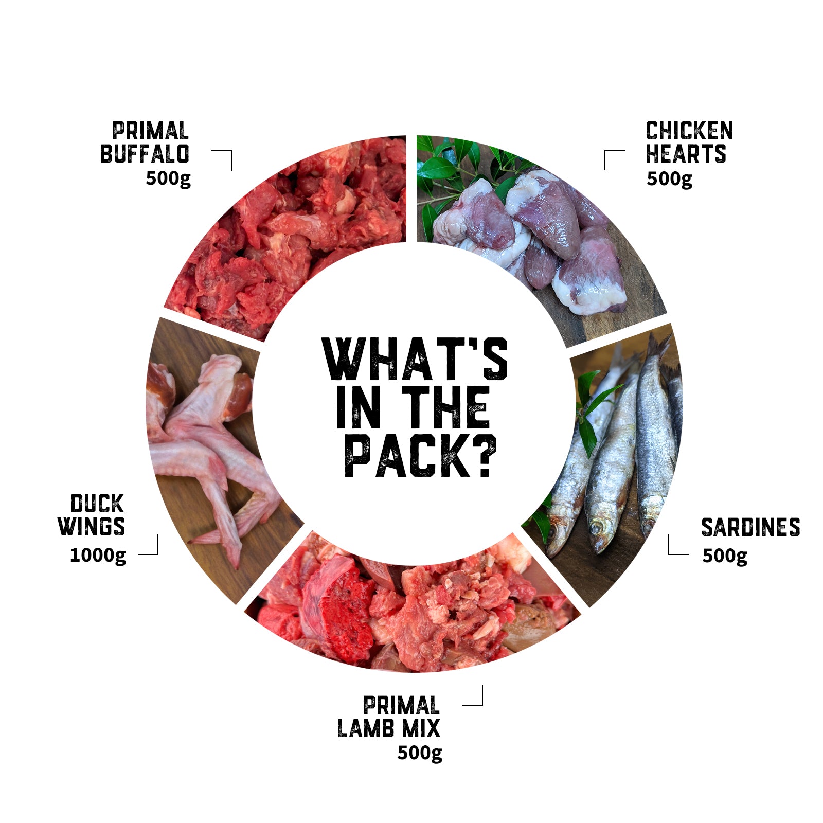 cat-raw-food-pack-02-slide-2.jpg