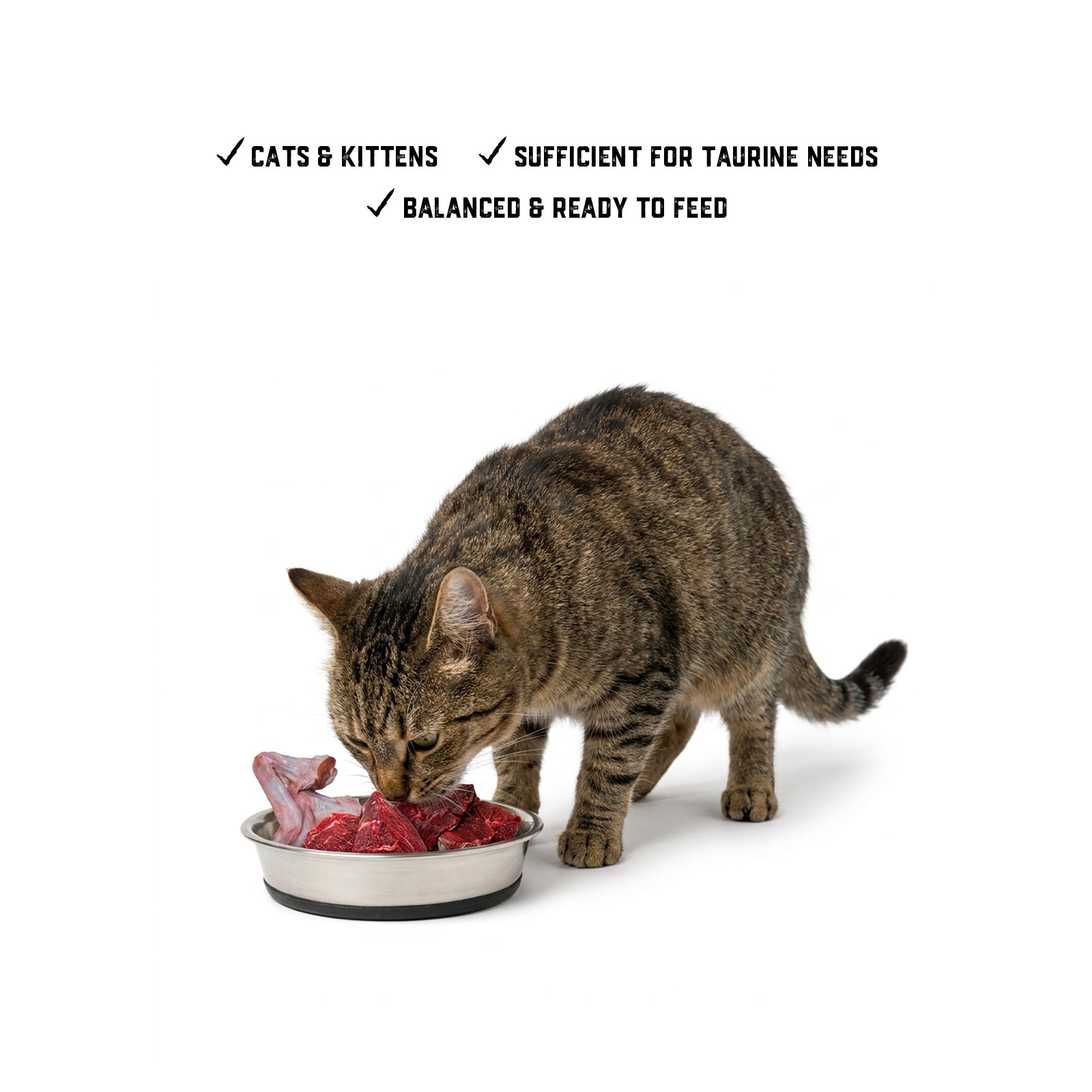 Raw Feeding for Cats/Kittens - Meal Pack #02
