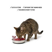 Raw Feeding for Cats/Kittens - Meal Pack #03