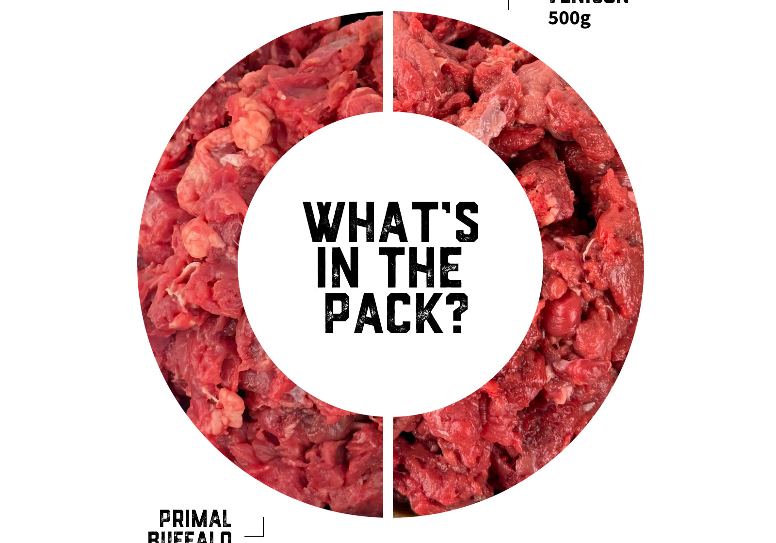 cat-raw-food-transition-pack-01-slide-2.jpg