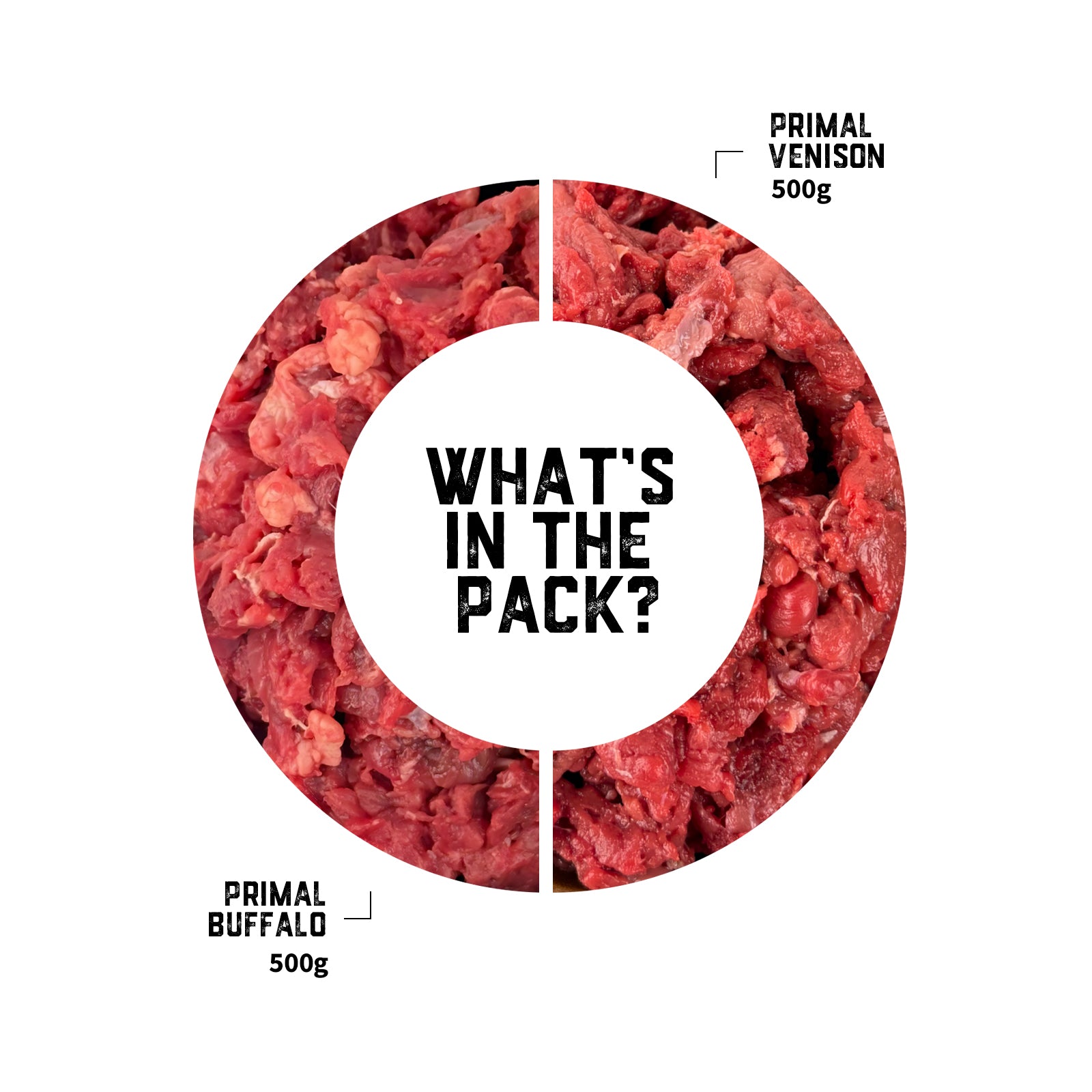 cat-raw-food-transition-pack-01-slide-2.jpg