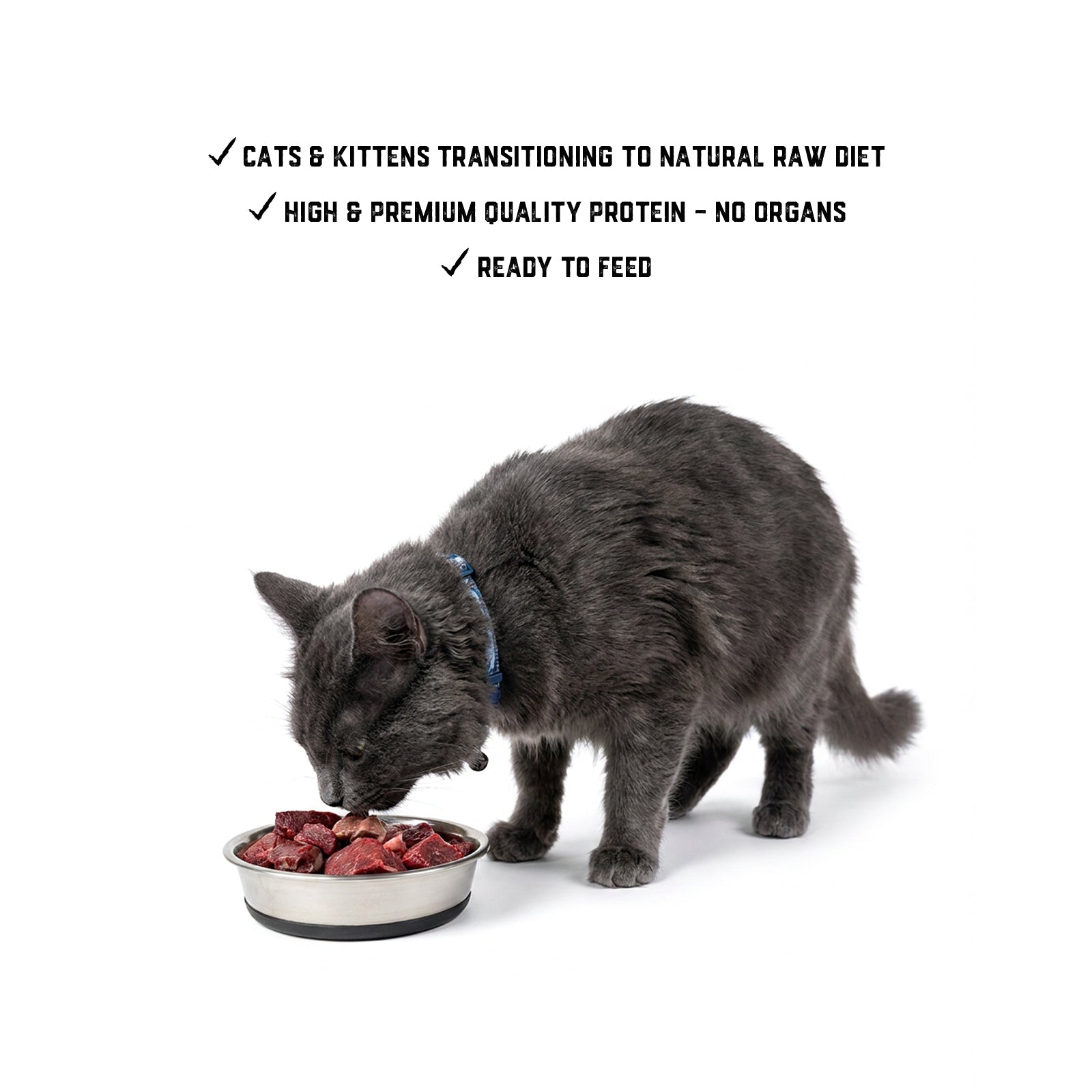 Raw Feeding for Cat Transition - Meal Pack #01