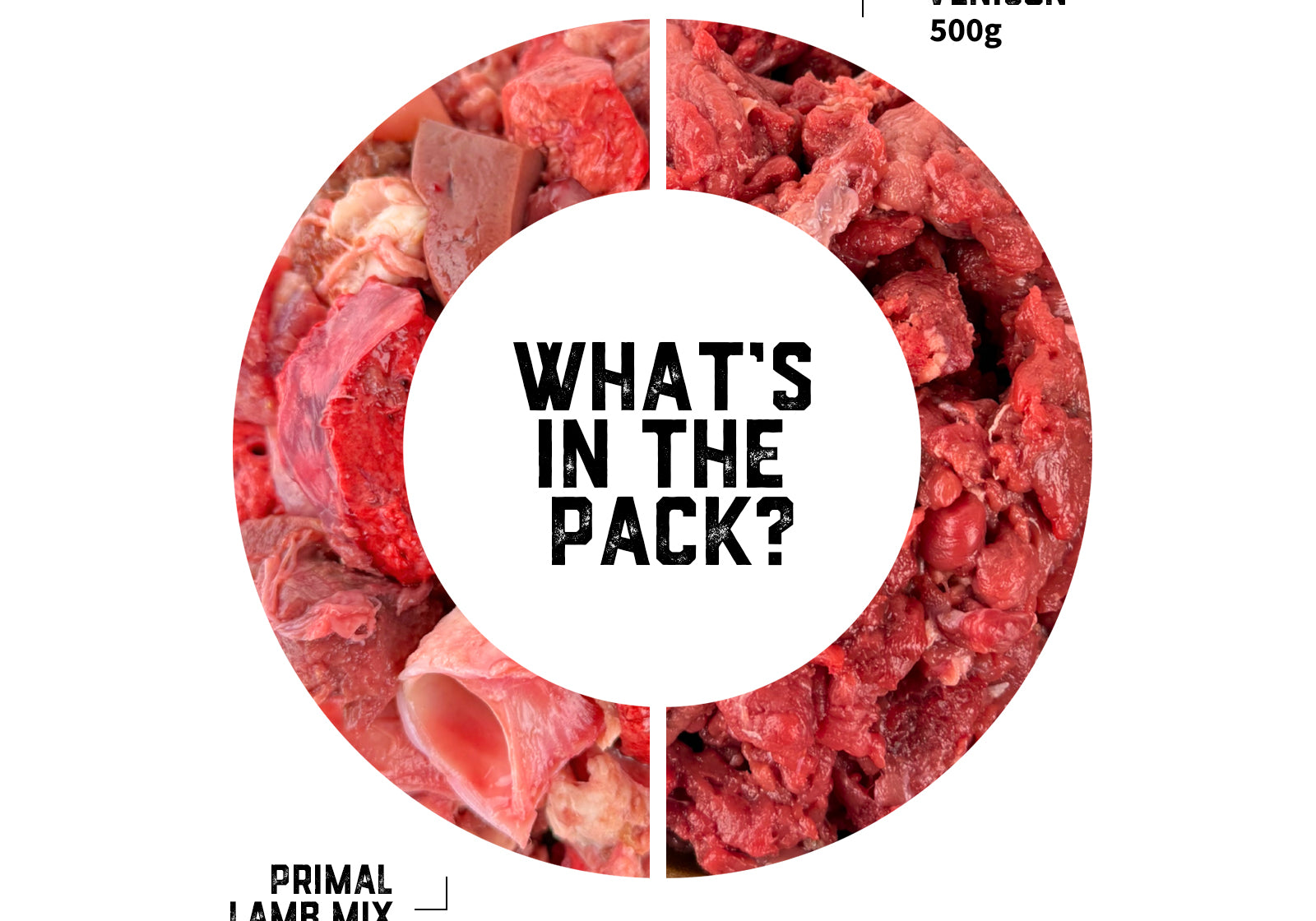cat-raw-food-transition-pack-02-slide-2.jpg