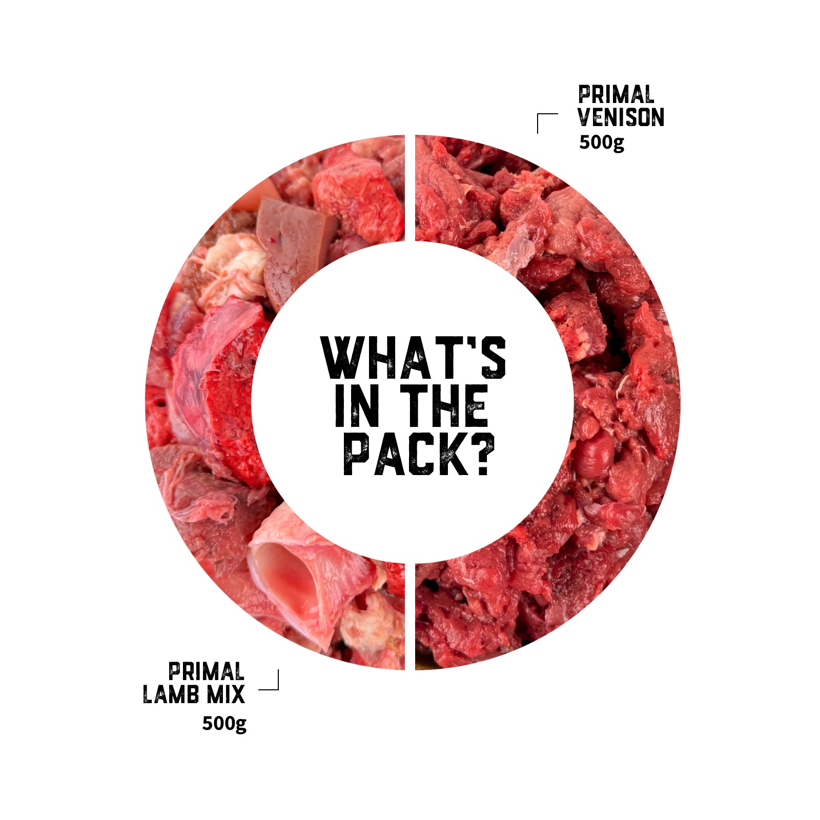 cat-raw-food-transition-pack-02-slide-2.jpg