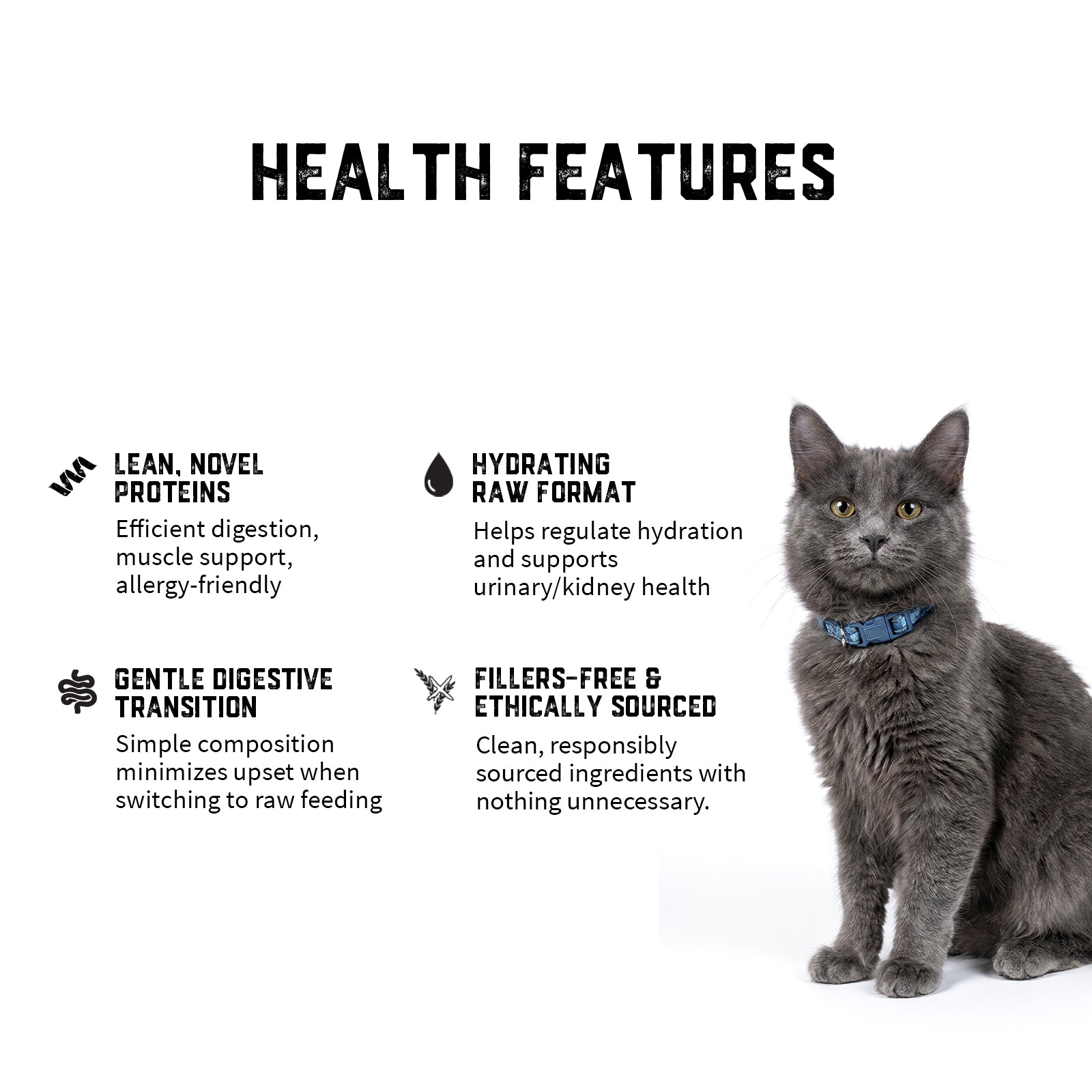 Raw Feeding for Cat Transition - Meal Pack #02