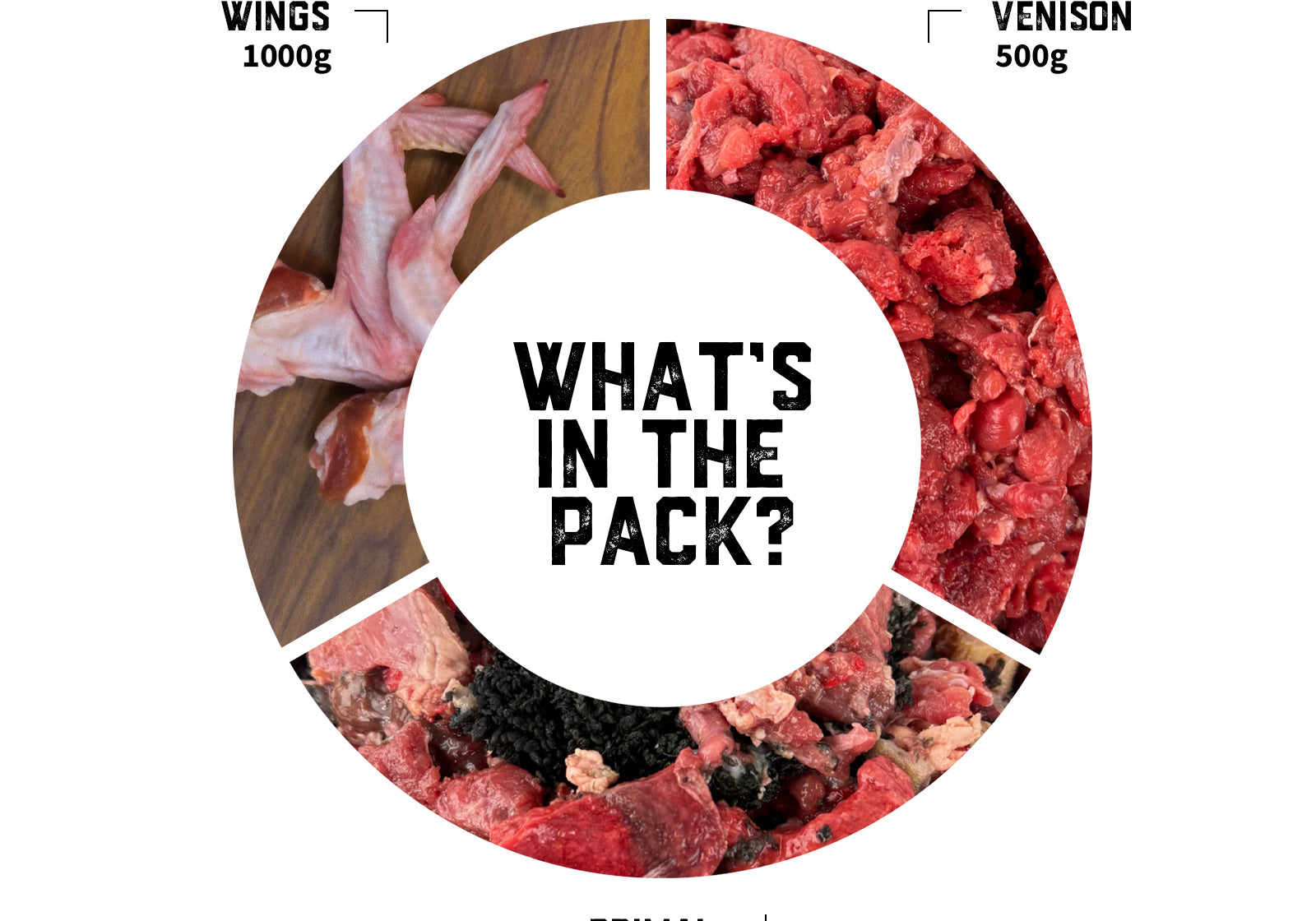 cat-raw-food-transition-pack-03-slide-2.jpg