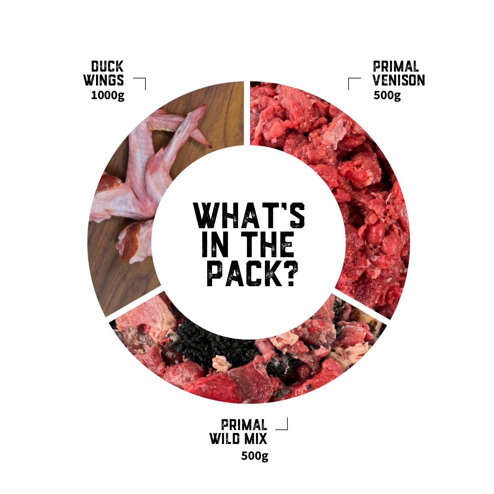 cat-raw-food-transition-pack-03-slide-2.jpg