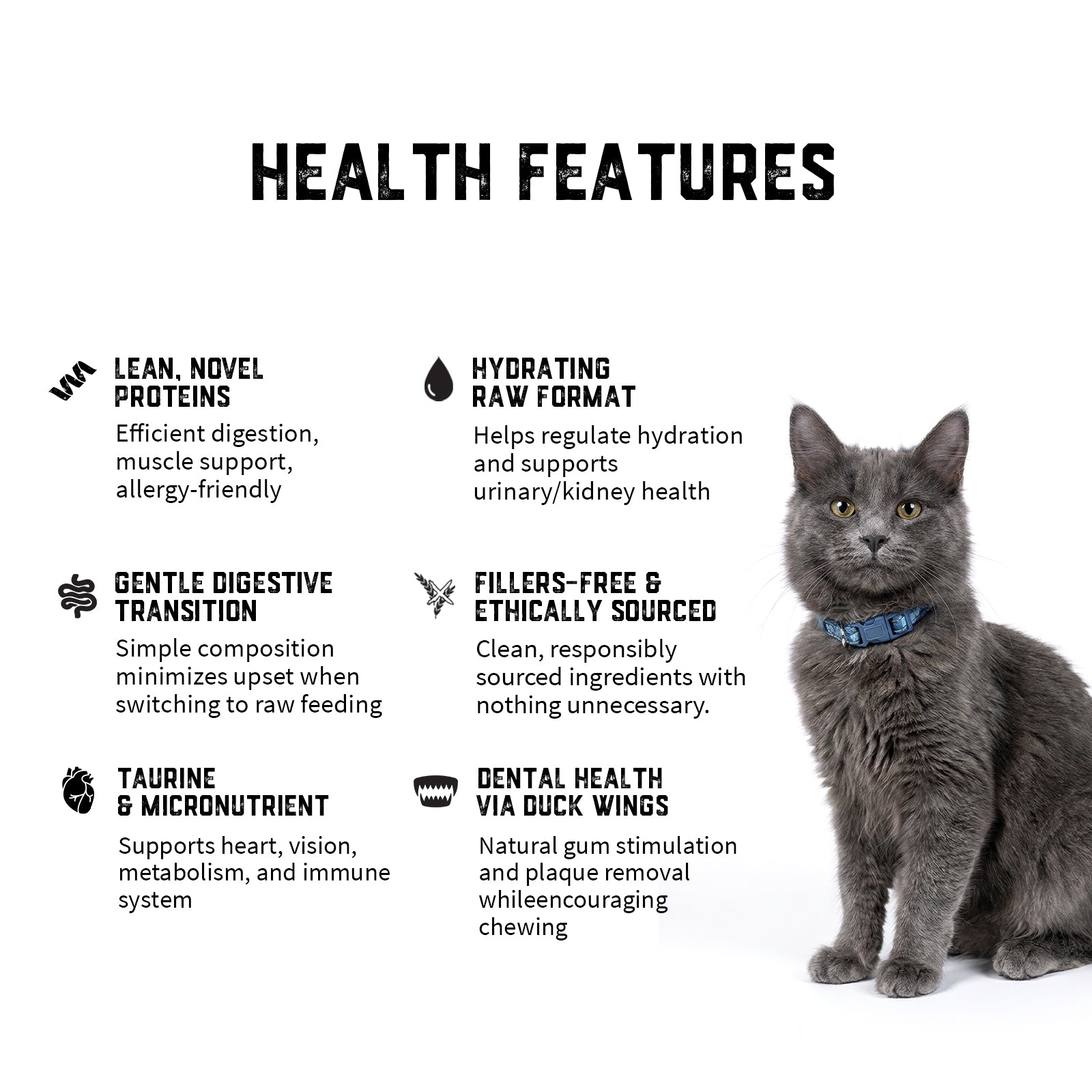 Raw Feeding for Cat Transition - Meal Pack #03