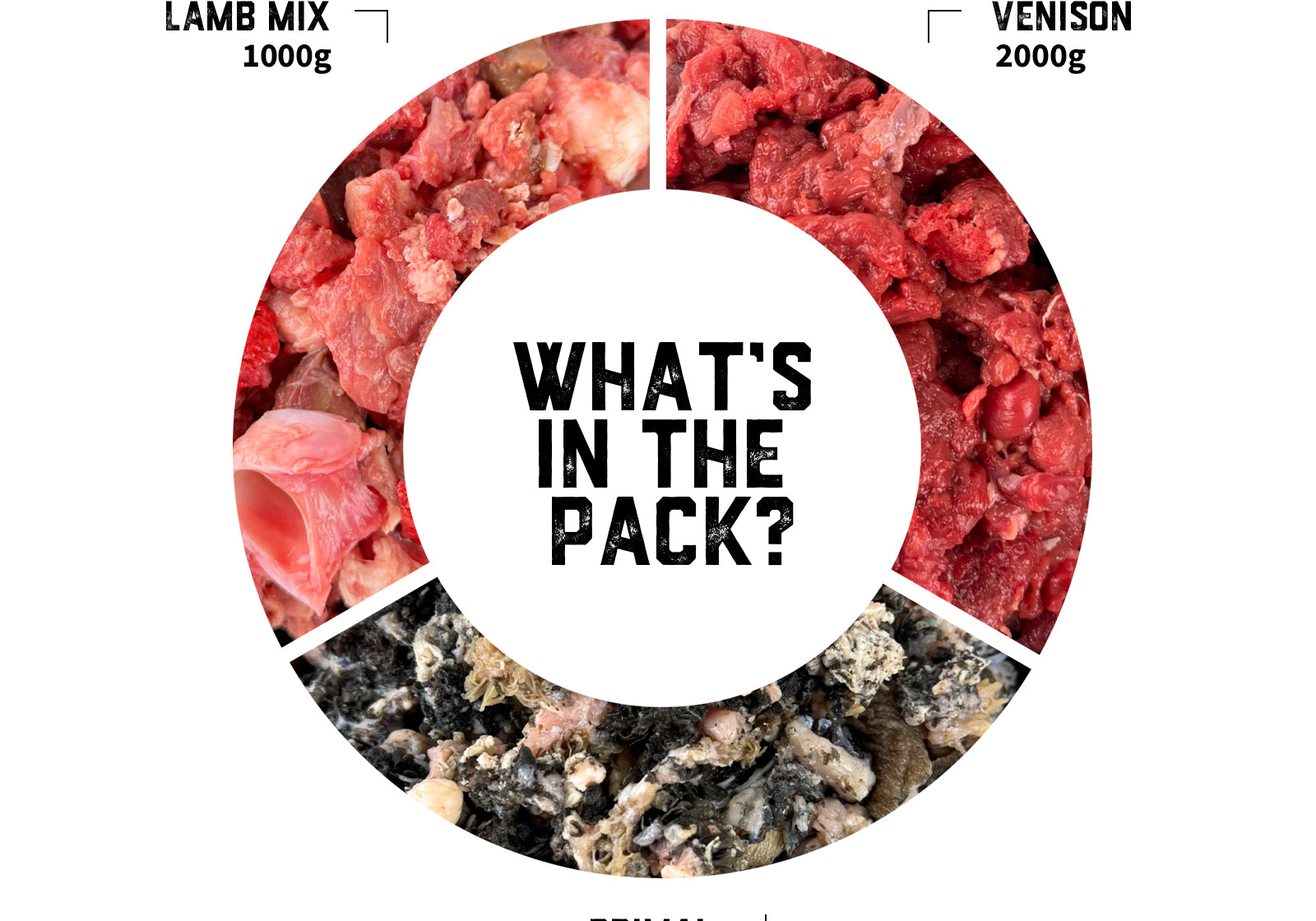 dogs-raw-food-transition-pack-01-slide-2.jpg