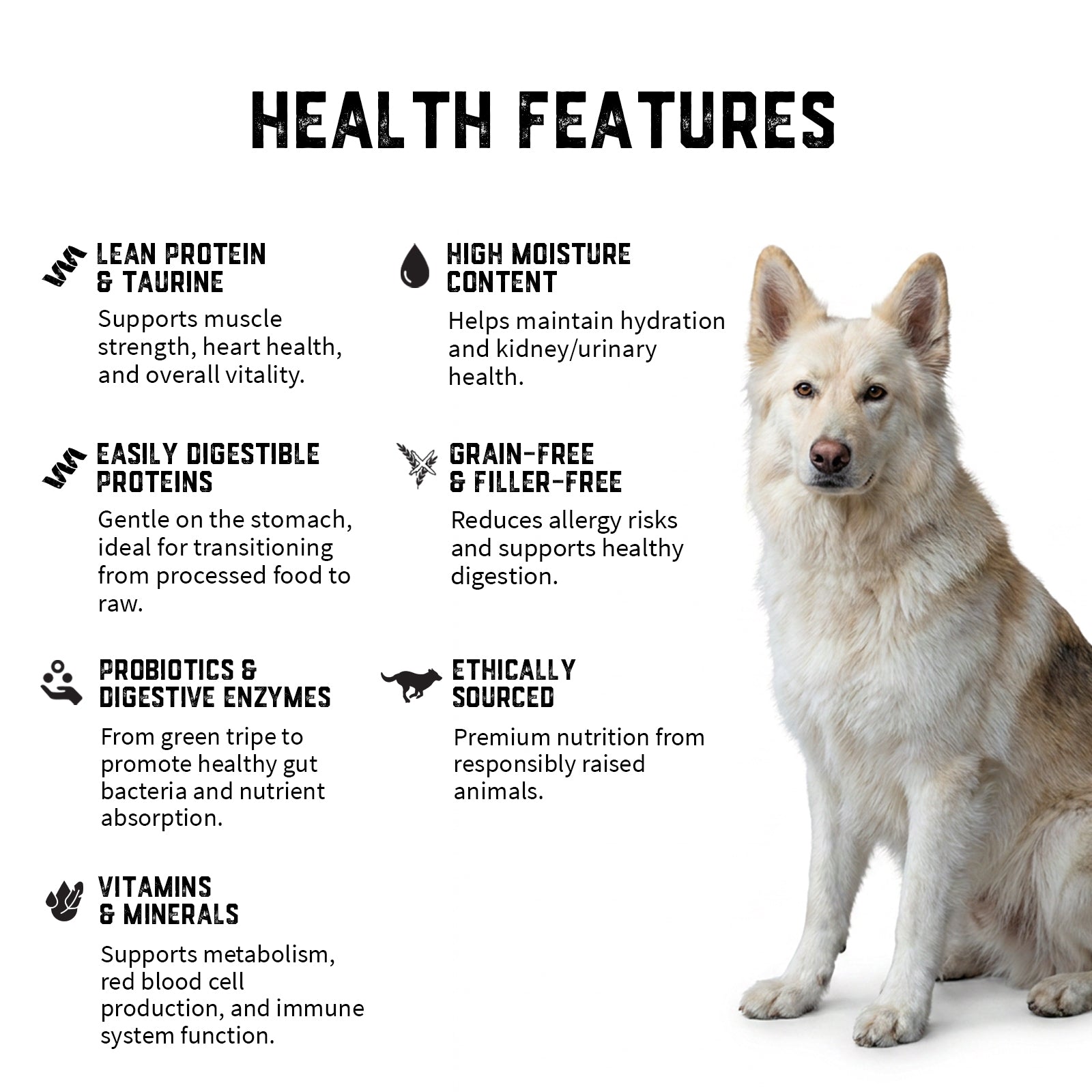 Raw Feeding for Transition (Dogs) - Meal Pack #01