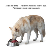 Raw Feeding for Transition (Dogs) - Meal Pack #01