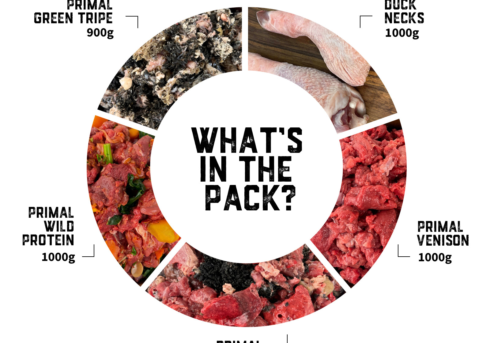 dogs-raw-food-transition-pack-02-slide-2.jpg