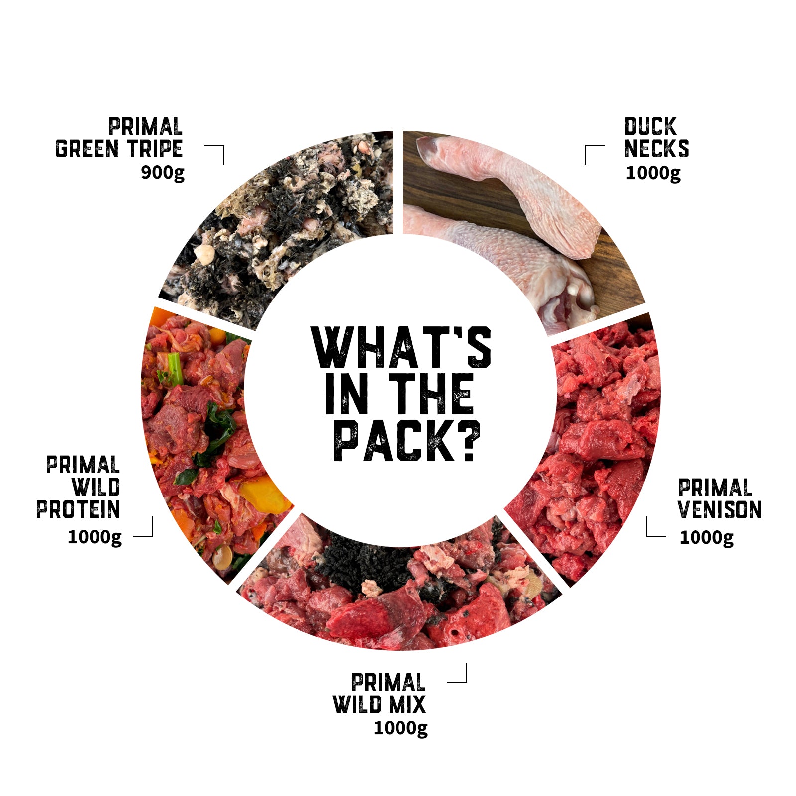 dogs-raw-food-transition-pack-02-slide-2.jpg