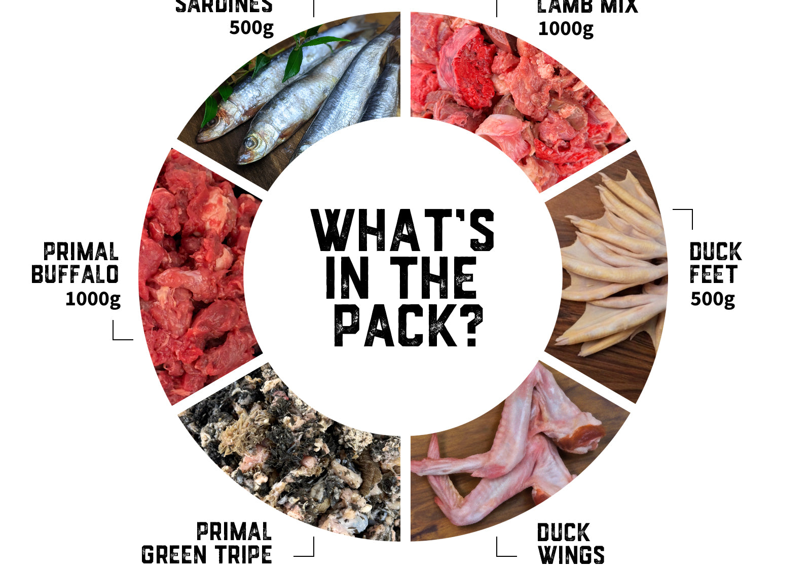 dogs-raw-food-transition-pack-03-slide-2.jpg
