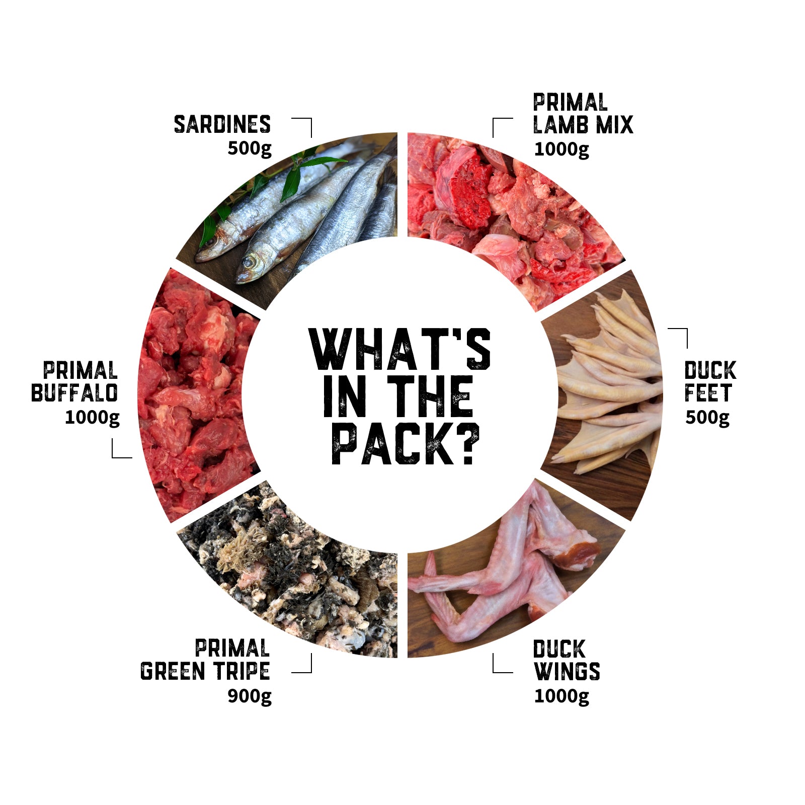 dogs-raw-food-transition-pack-03-slide-2.jpg