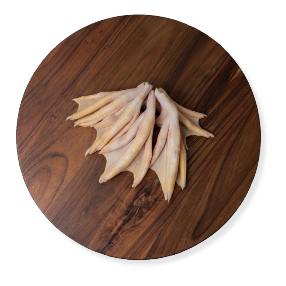 duck-feet-toop-view.png