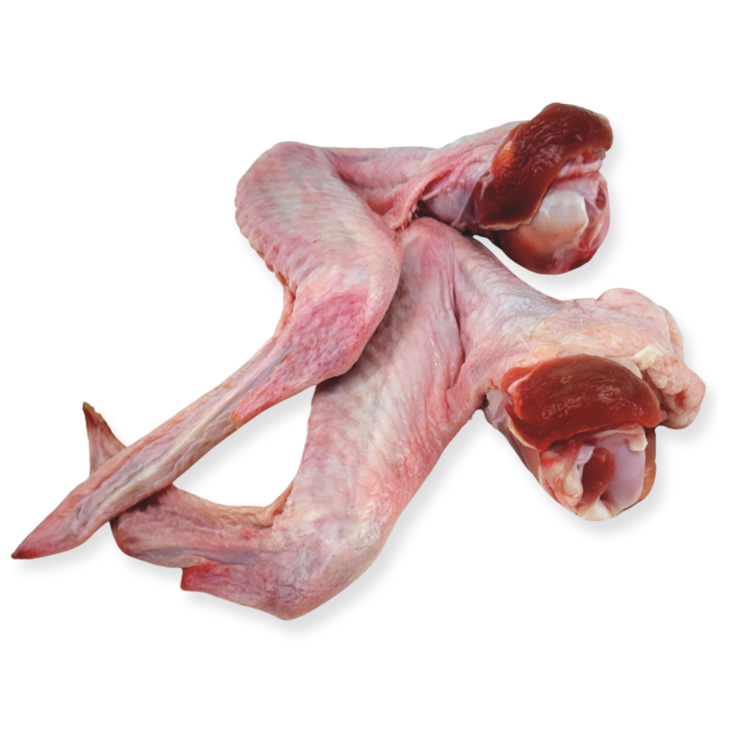 Front View of meaty duck wings