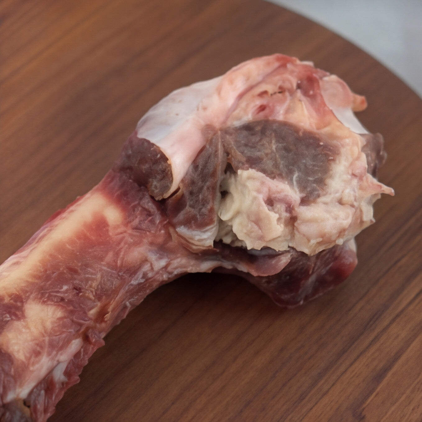 Emu Bone