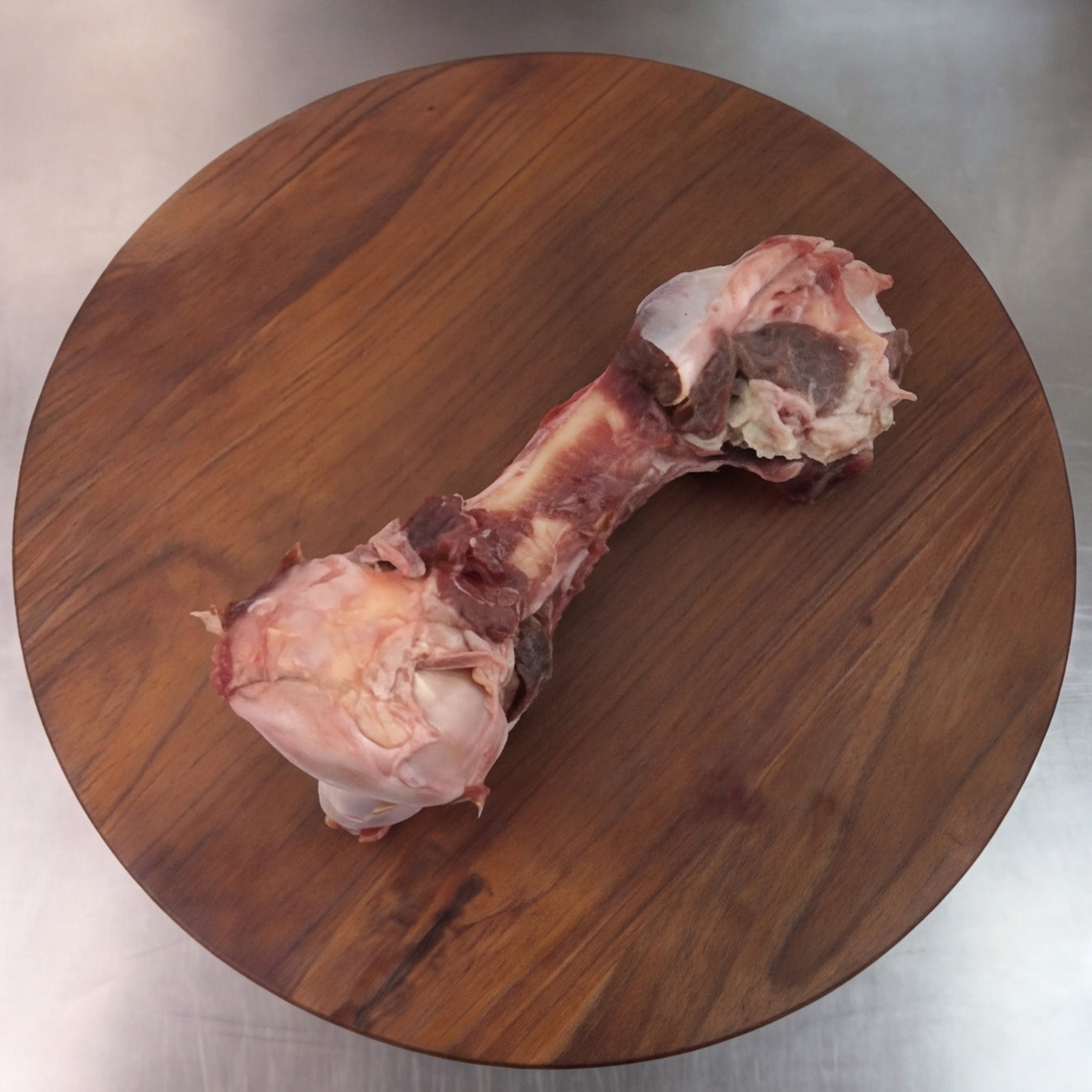 emu-bones-4.jpg