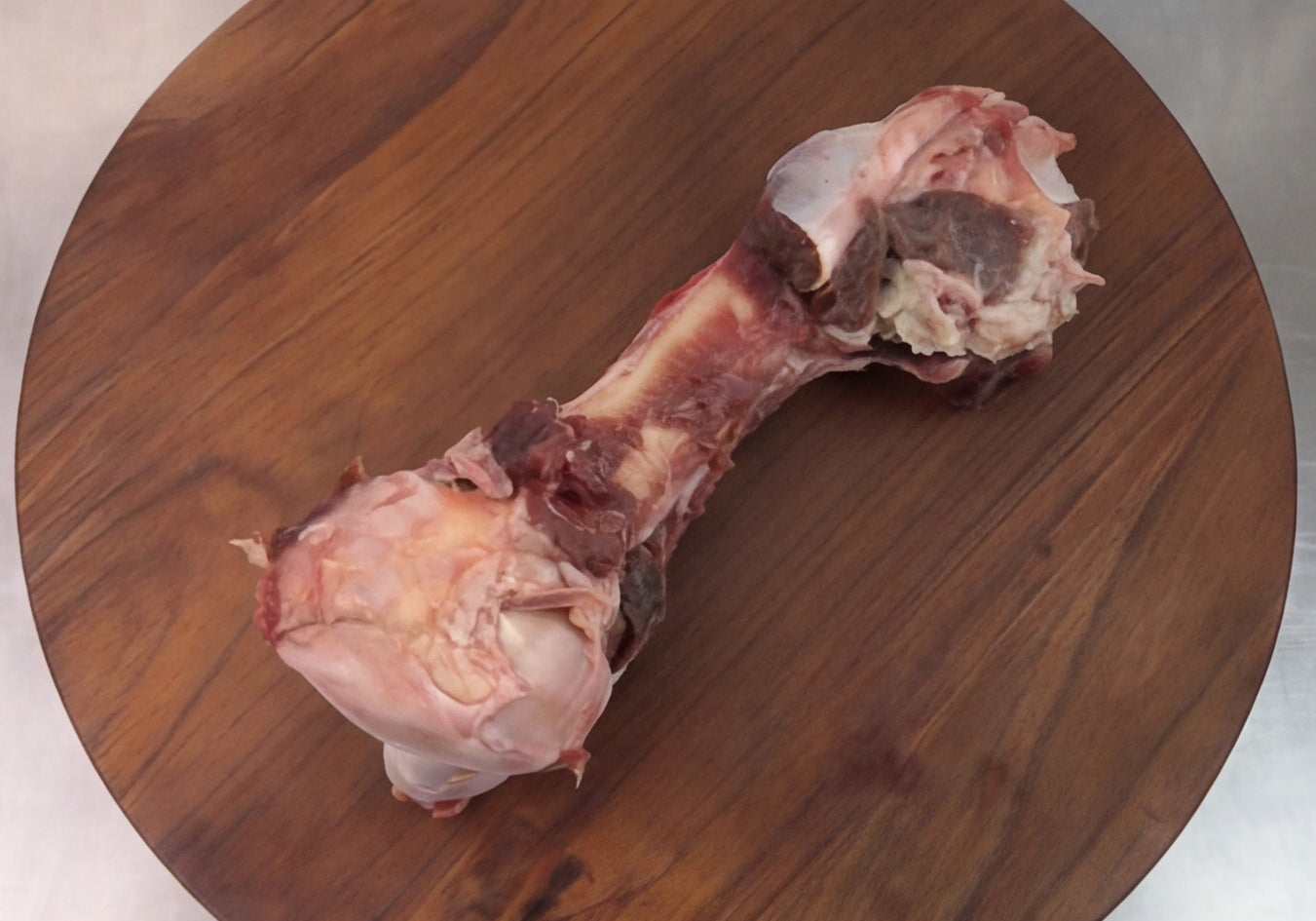 emu-bones-4.jpg