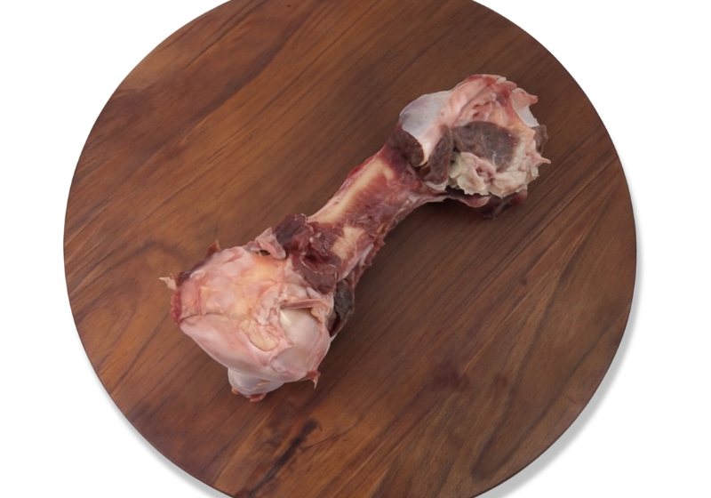 emu-bones-main_fdd32cd3-218c-40ec-9796-060f19036a50.png