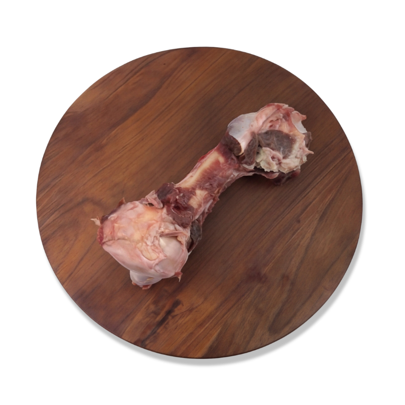 Emu Bone