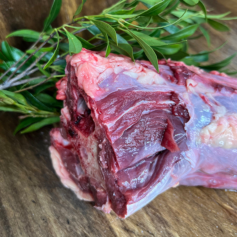 close up view of emu neck for dogs