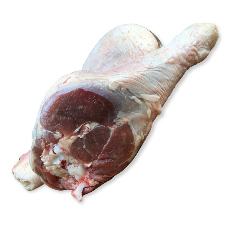 Side view of pasture ranged turkey drumstick