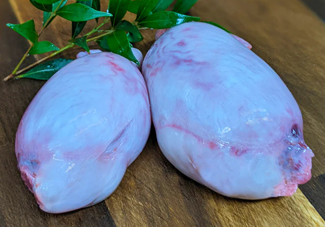 Goat Testes