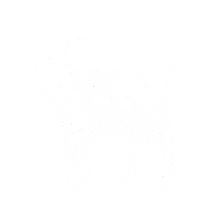 goat-white-2.png