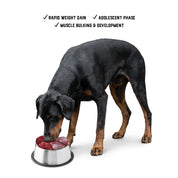 Raw Feeding for Mass Gain Dogs - Meal Pack #02