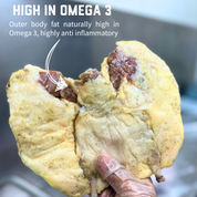 Mutton Bird -  BOGOF