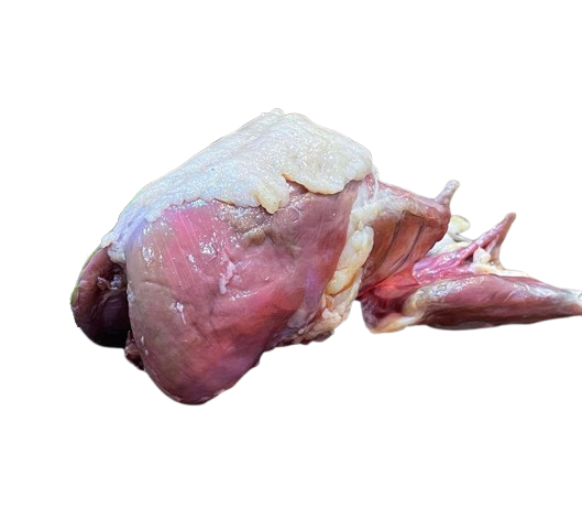 Mutton Bird Frames( 2 per Pack)