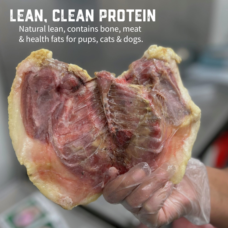 Mutton Bird 2 x Packs- BOGOF