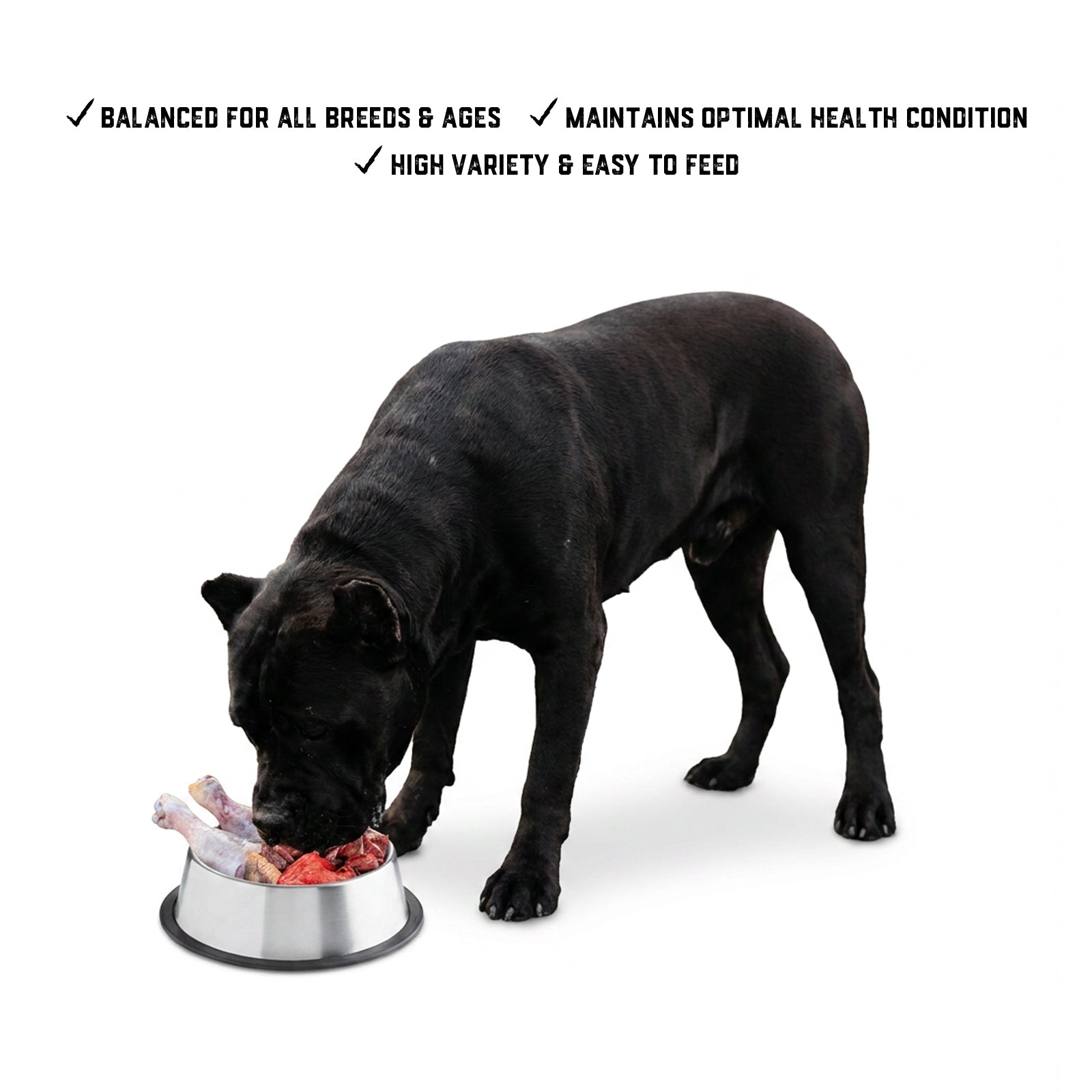 Raw Feeding Premium Balance - Meal Pack #03