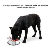Raw Feeding Premium Balance - Meal Pack #03