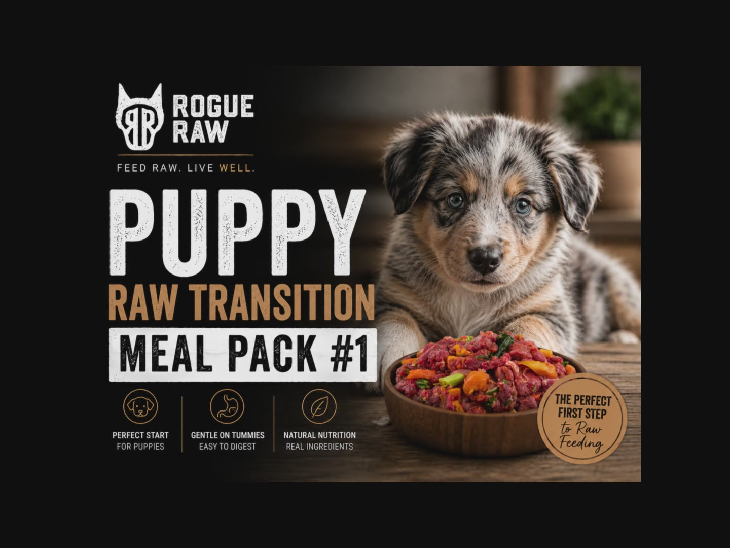 Raw Feeding Puppy Transition - Meal Pack #01