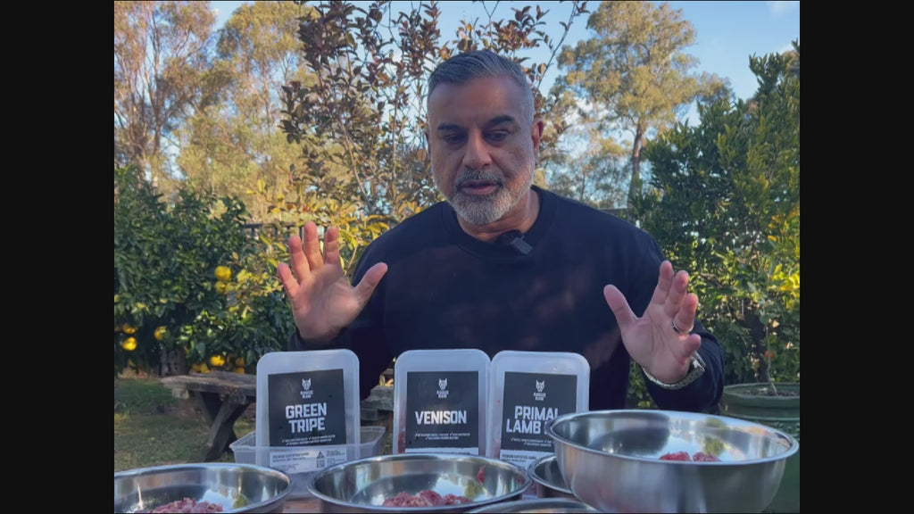 Video demonstration on how to feed RogueRaw raw puppy meal pack #2. 