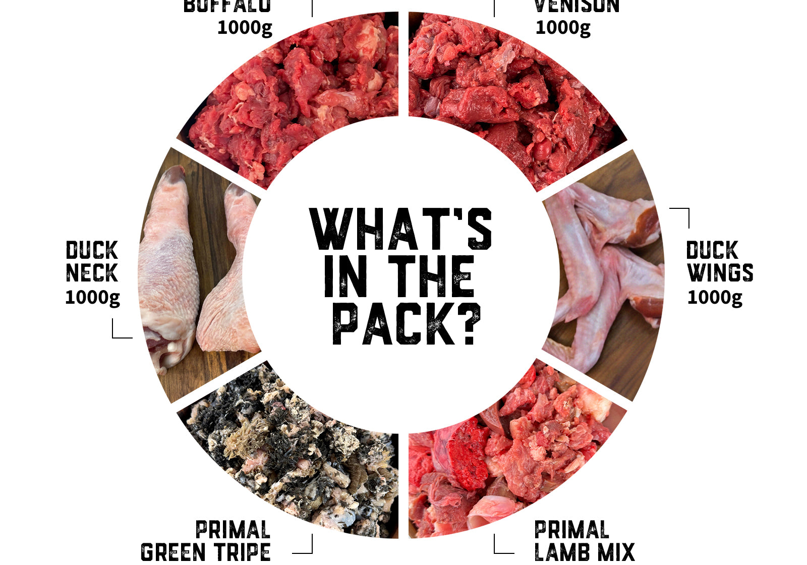 puppy-raw-food-pack-01-slide-2_15684cfa-1379-4888-bc67-5c3f7d9e5a9a.jpg