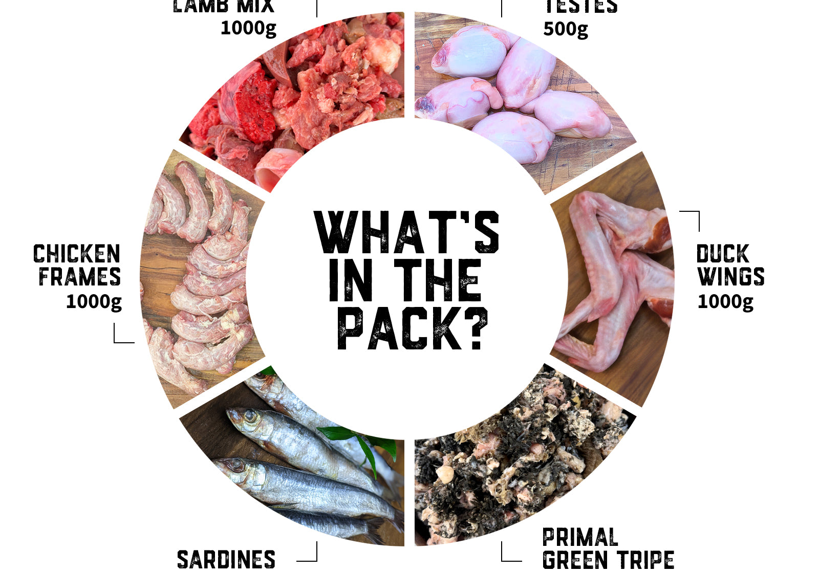 puppy-raw-food-pack-02-slide-2_b30ba9d3-6020-422a-a901-c2122580c719.jpg