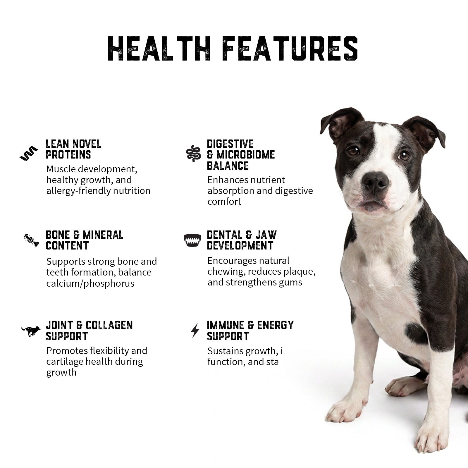 Premium Puppy - Meal Pack #04
