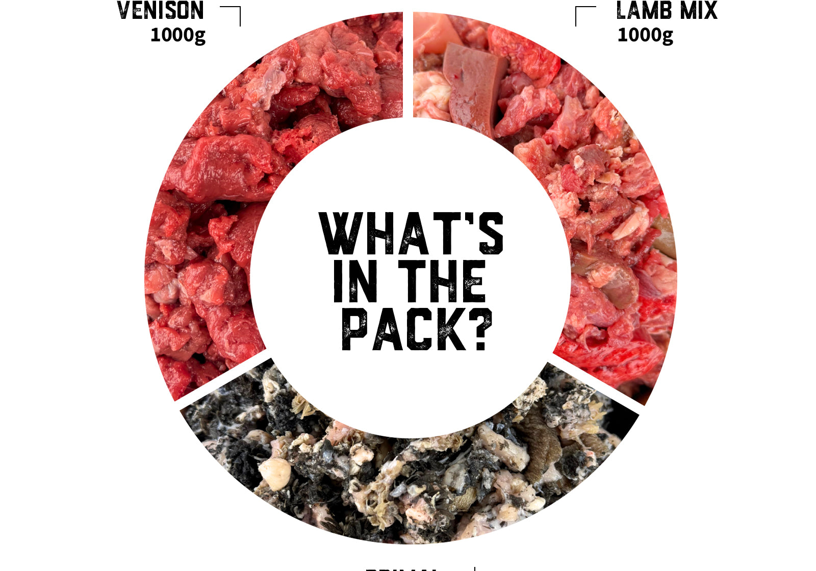 puppy-raw-food-transition-pack-02-slide-2.jpg