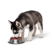 Raw Feeding Puppy Transition - Meal Pack #02