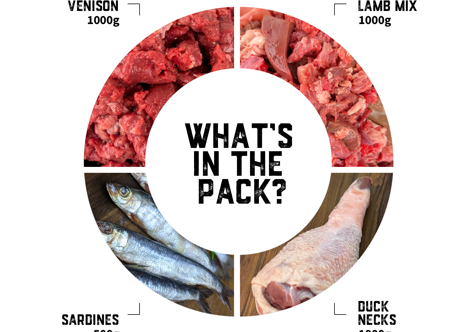 puppy-raw-food-transition-pack-03-slide-2.jpg